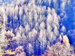 -玉渡山自然风景区