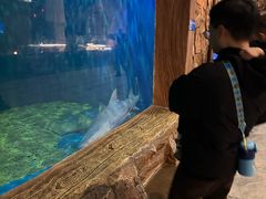 -华夏文旅西安度假区