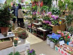 -循礼门鲜花花市(武汉循礼门店)