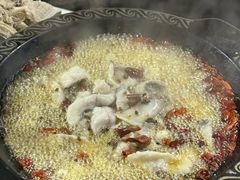 -金三可市井水煮鱼(金碧园店)