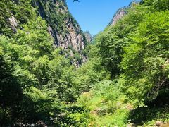 -青峰峡国家森林公园