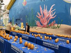 -海合安成都极地海洋公园