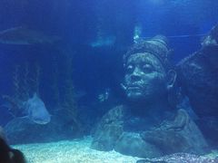 -暹罗海洋世界