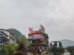 -印象鲵宴·张家界地标美食名片(溪布街店)