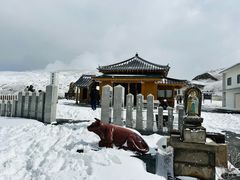 -阿苏山