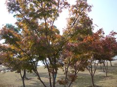 6-白塘生态植物园