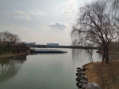 -大兴滨河森林公园