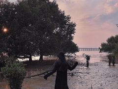 -宝安西湾红树林湿地公园