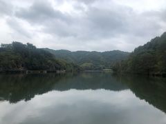 -山东宾馆·齐鲁苑餐厅