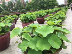 -杭州电子科技大学(下沙校区)