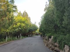 -千佛山风景名胜区
