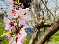 -相门城墙文化休闲景区