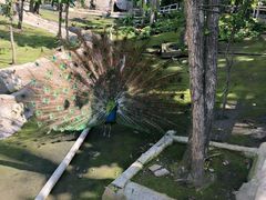 -哈尔滨北方森林动物园