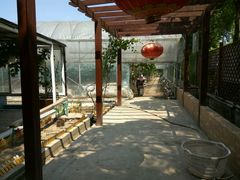 -美家乐农庄·露营·团建(大治路店)