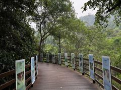 -野象谷景区