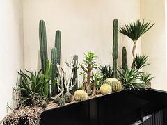 -J Create城市露营咖啡·简餐·宠物(上海动物园店)