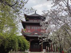 -堤角公园