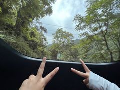 -秦岭终南山世界地质公园翠华山景区
