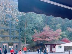 -大慈岩风景区
