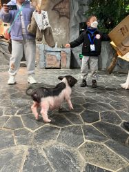 -Zoolung Zoolung动物主题公园(海信广场店)