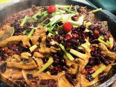 -老板恋上鱼(高新万达店)