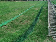 -原山国家森林公园