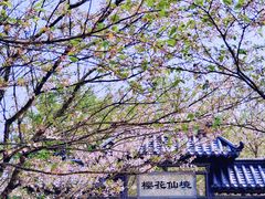 -凤凰沟景区