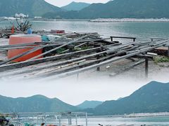 -大澳