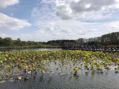 -溱湖国家湿地公园