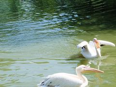 -常州淹城野生动物世界