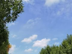 -南大港湿地风景区