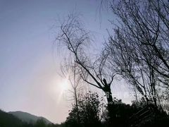 -沣峪口