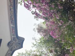 -深圳国际园林花卉博览园