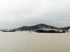 -沈家门海鲜夜排档(东港店)