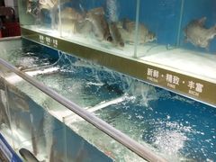 -世纪联华超市(凤起店)