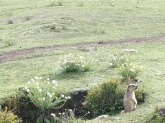 -墨石公园景区