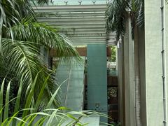 -香港大学
