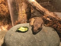 -平行世界·猫咖(首经贸店)