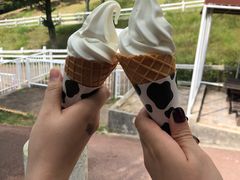 -神户市立六甲山牧场