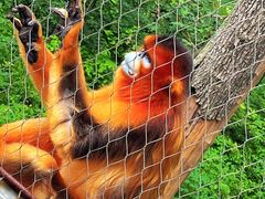 -哈尔滨北方森林动物园