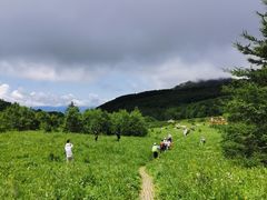 -白草畔自然风景区