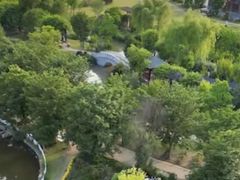 -鹅湖玫瑰文化园
