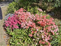 -上海交通大学(闵行校区)