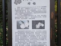 -杭州植物园
