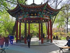 -西宁市人民公园(城西区)