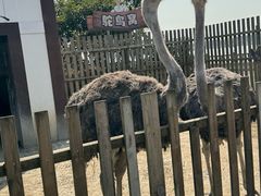 -太阳岛度假酒店