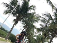 -亚龙湾国际玫瑰谷