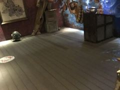 -贝壳梦幻世界