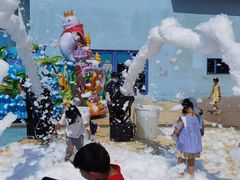 -芜湖新华联大白鲸海洋公园