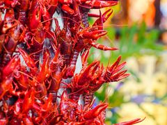 -霸王虾·麻辣小龙虾(清水河公园店)